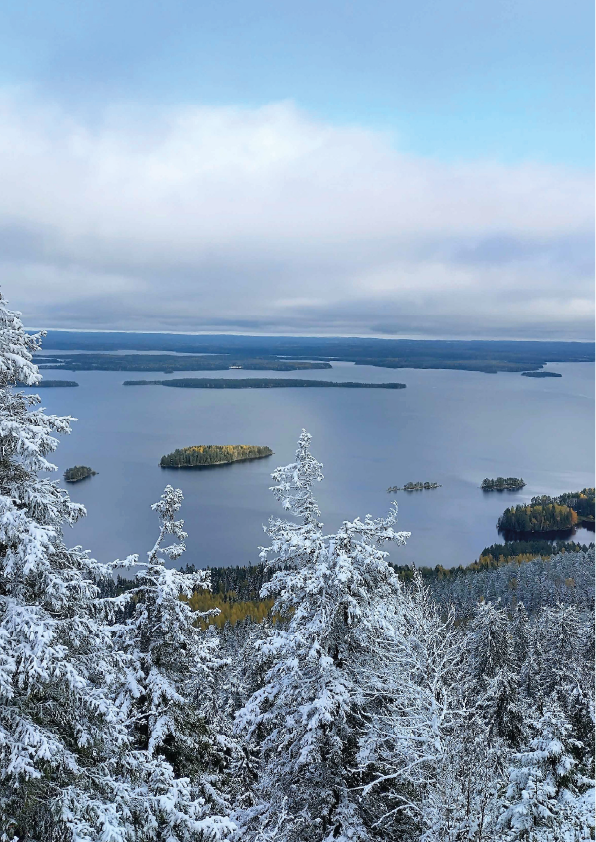 Herve Gehin Paysage Finlandais